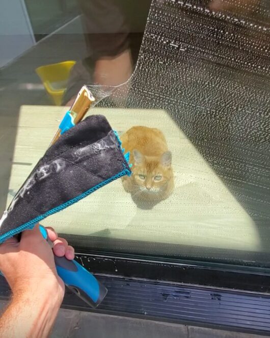 Screenshot 2026-03-29 185200